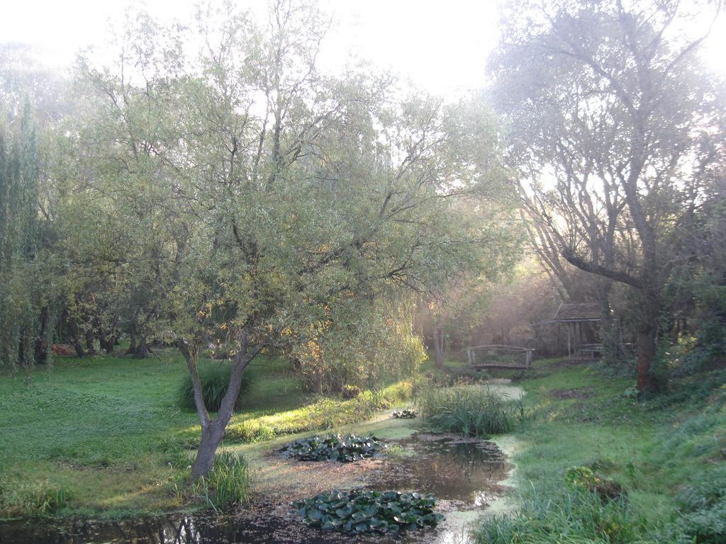 Villa Rigo Panzio Verpelét Exteriér fotografie