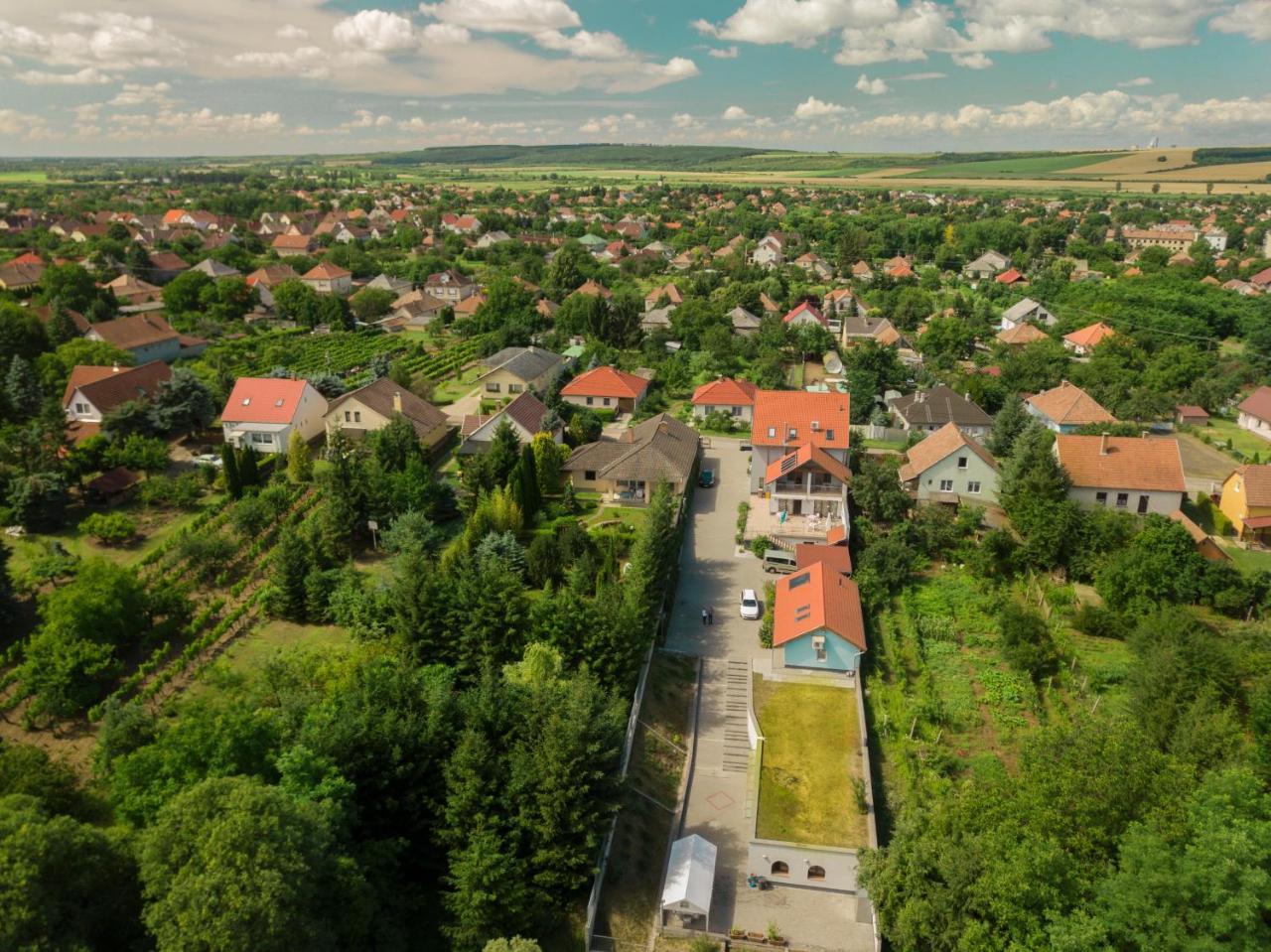 Villa Rigo Panzio Verpelét Exteriér fotografie